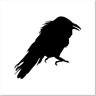 Raven Crow Black Bird Posters and Art